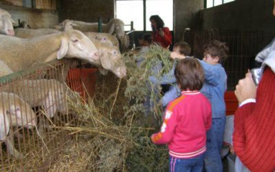 Fattorie Aperte in Emilia Romagna